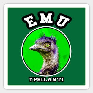 👽 Ypsilanti Michigan Strong, EMU School Spirit, City Pride Sticker
